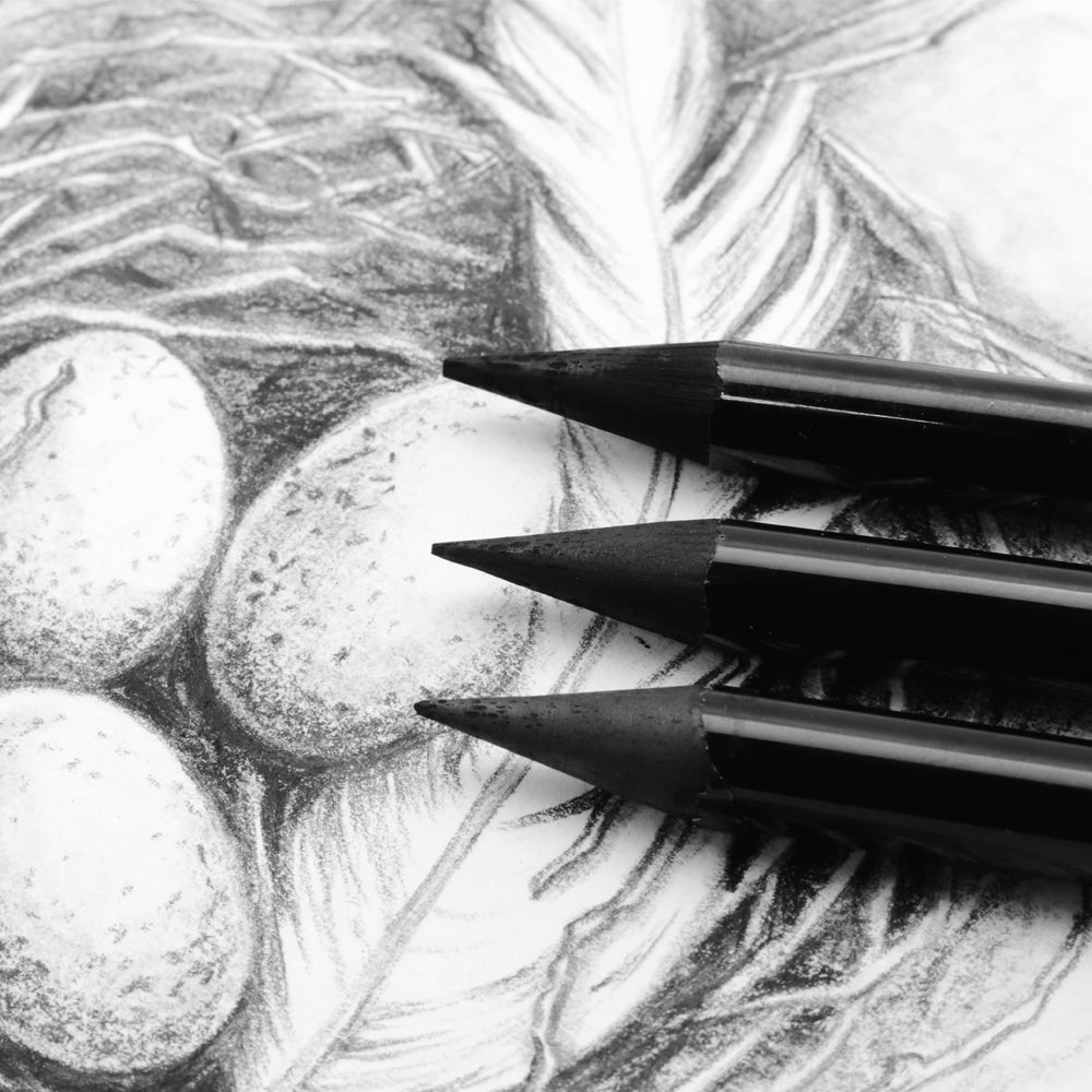 Finding the Best Paper for Charcoal Drawing Masterpieces插图2