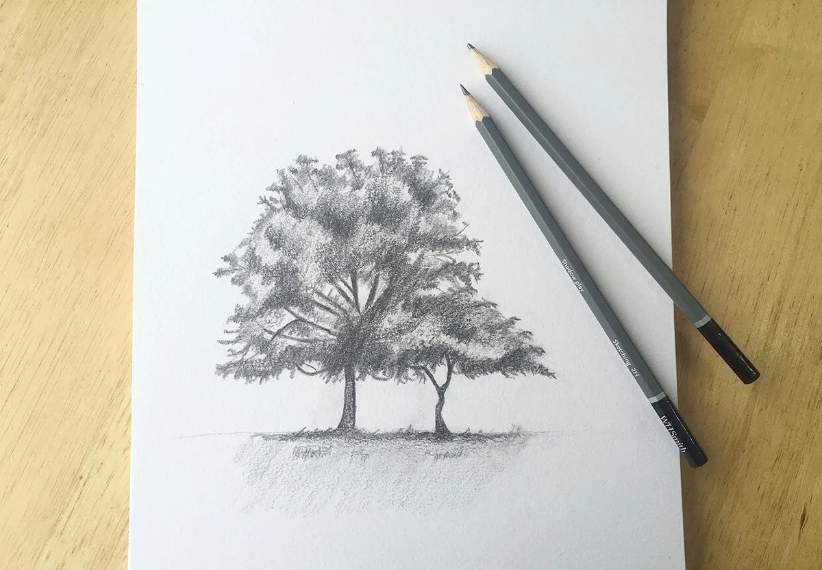 beginner charcoal drawing
