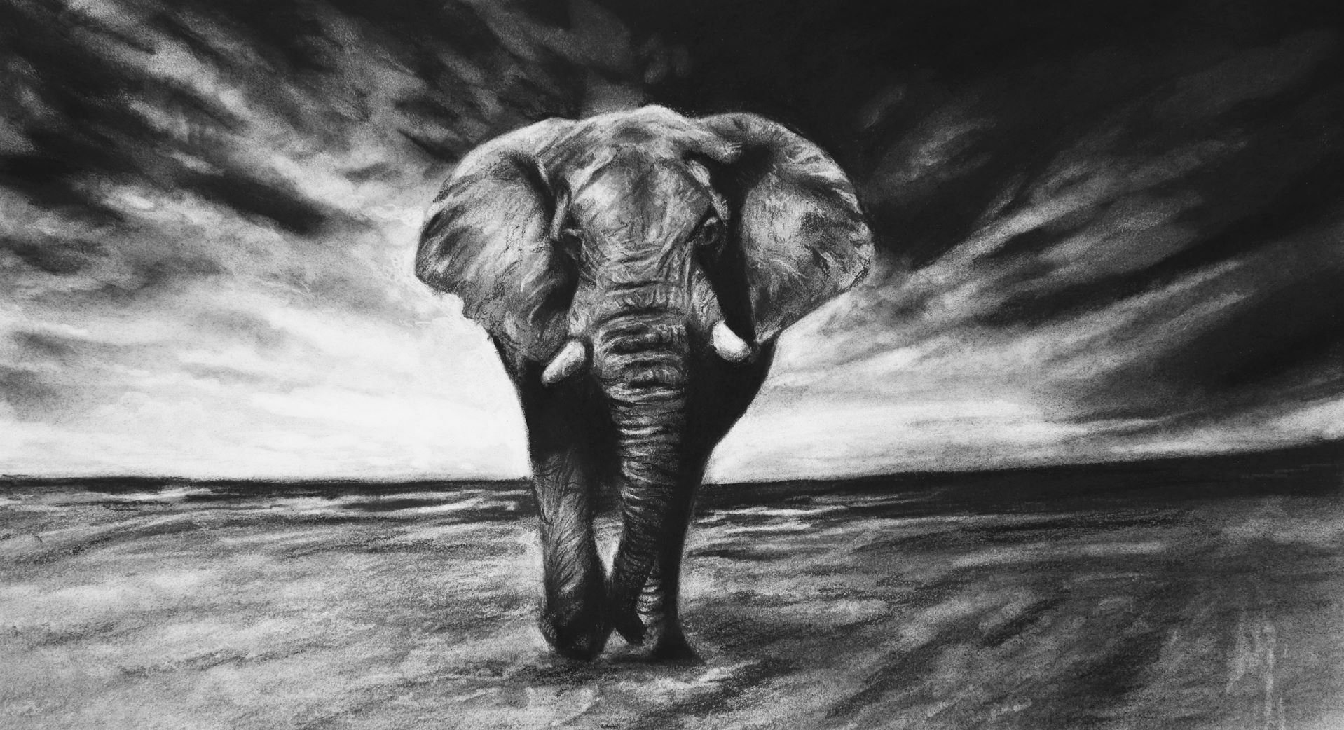 realistic charcoal drawing