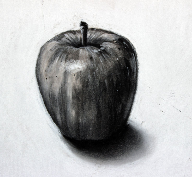 charcoal drawing for beginners