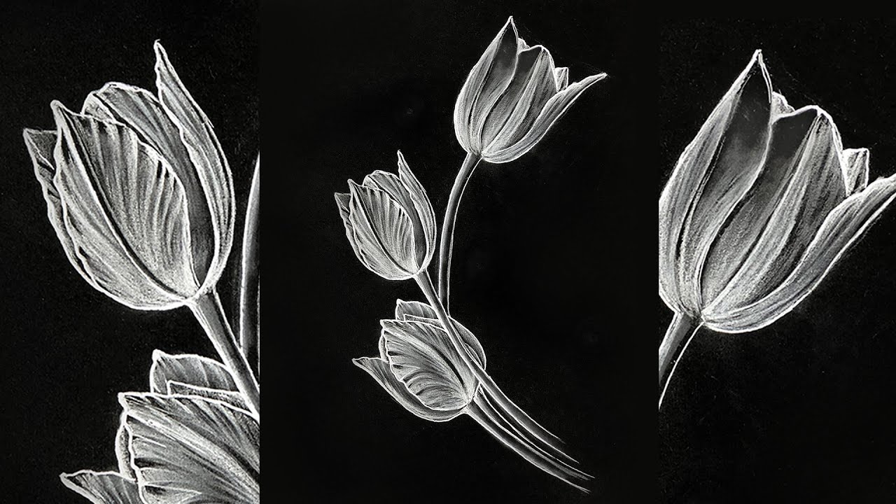 The Essentials of Black and White Charcoal Drawing for Beginners插图4
