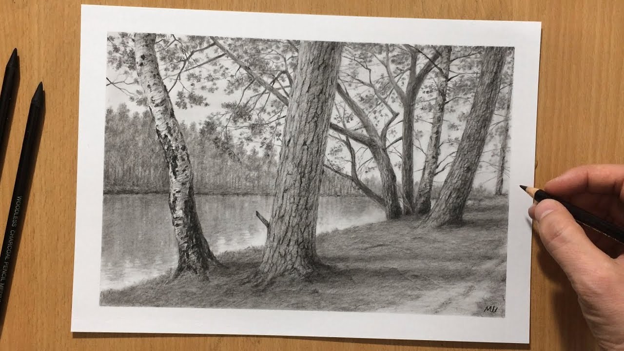Mastering the Art of Charcoal Tree Drawing: Techniques and Tips插图3