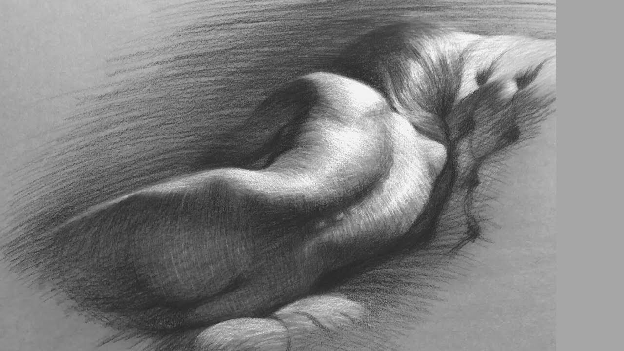 Bringing the Human Form to Life with Charcoal Figure Drawing插图4