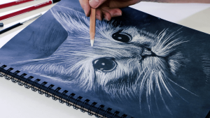 Mastering the Art of White Charcoal Drawing on Black Paper缩略图