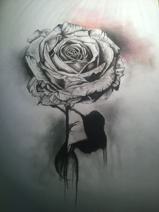 Blossoming on Paper: The Beauty of Flower Charcoal Drawing插图2
