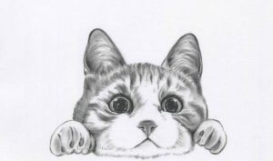 Shading and Texture: Mastering the Cat Charcoal Drawing Process缩略图