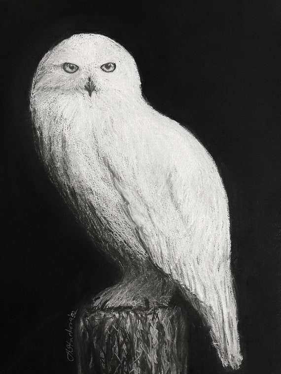 Mastering the Art of White Charcoal Drawing on Black Paper插图3