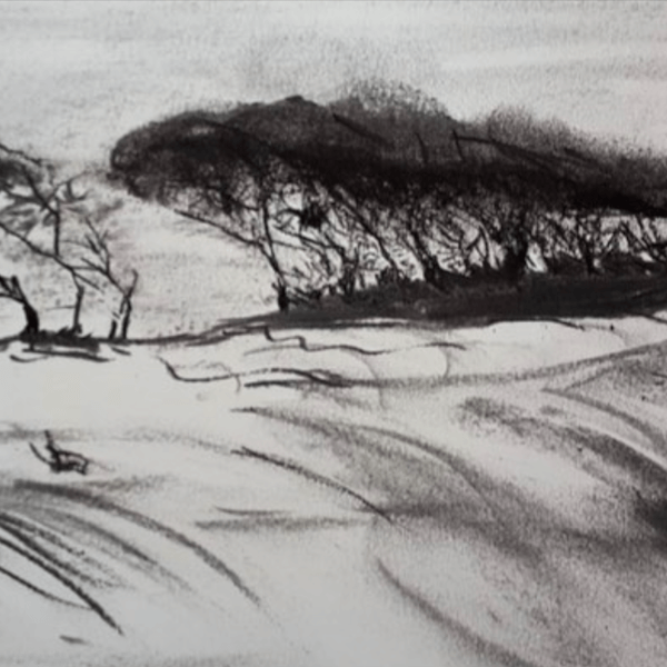 The Art of Shadows: Mastering Charcoal Drawing Landscape插图3