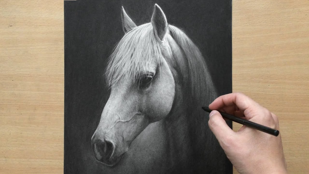 White Charcoal Drawing: A Comprehensive Guide for Beginners插图3