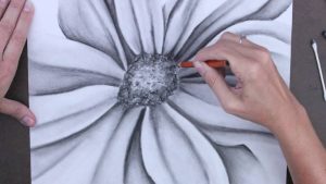Blossoming on Paper: The Beauty of Flower Charcoal Drawing缩略图