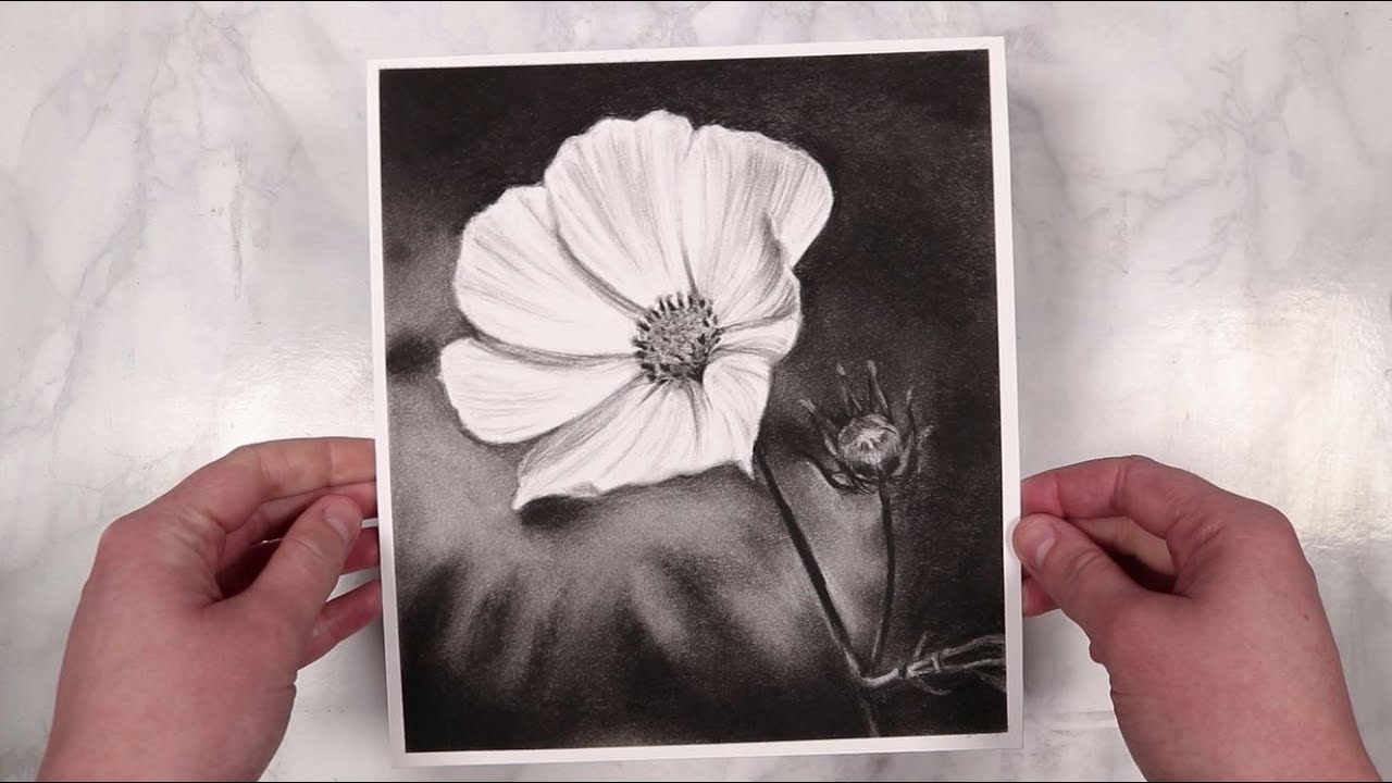 flower charcoal  drawing