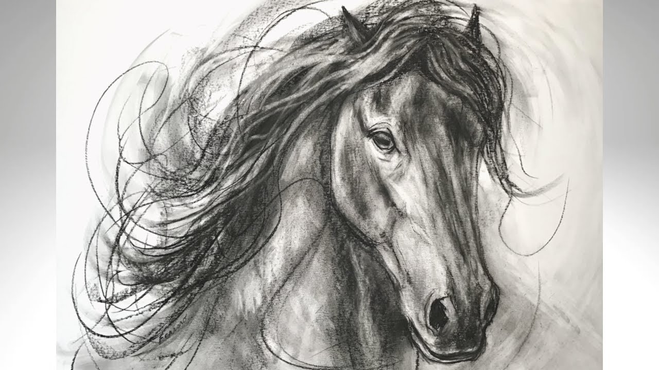 horse charcoal  drawing