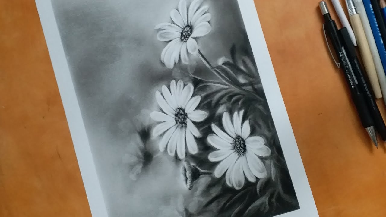 flower charcoal  drawing