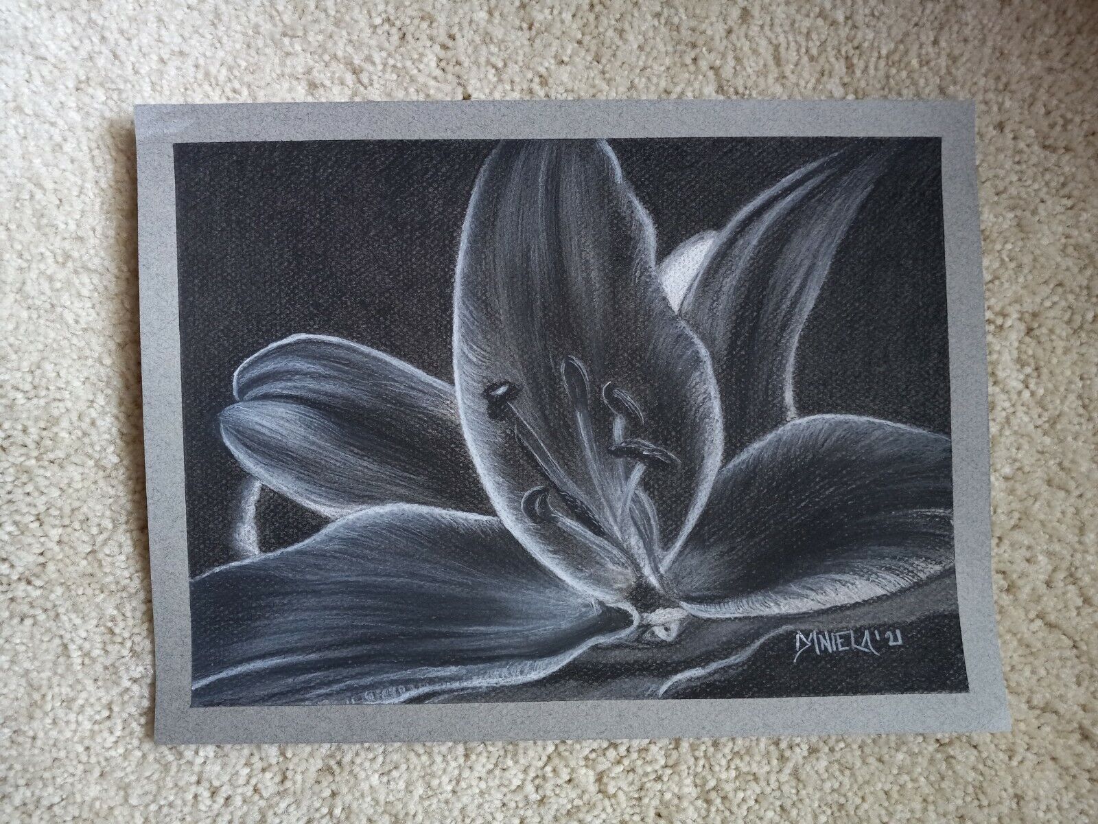 Blossoming on Paper: The Beauty of Flower Charcoal Drawing插图3