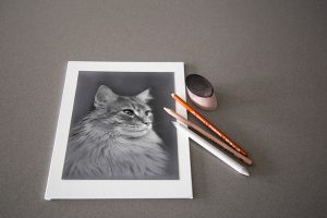 Step-by-Step Guide to Captivating Charcoal Cat Drawings缩略图