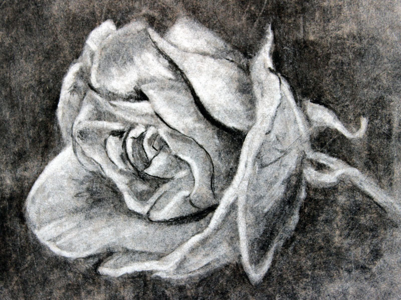 charcoal drawing simple