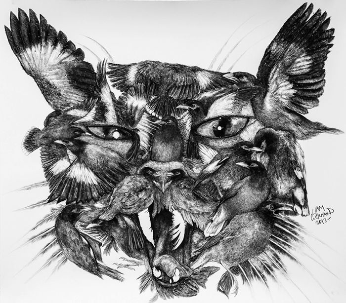 charcoal drawing  animals