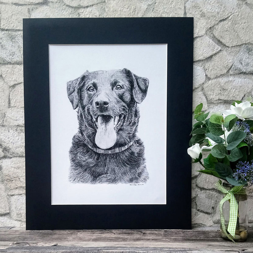 dog charcoal drawing