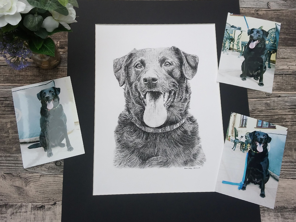 dog charcoal drawing