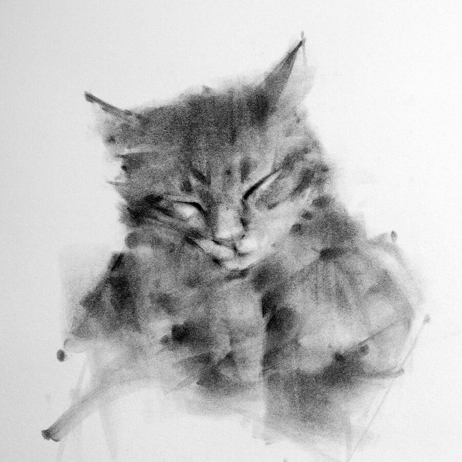 charcoal drawing cat