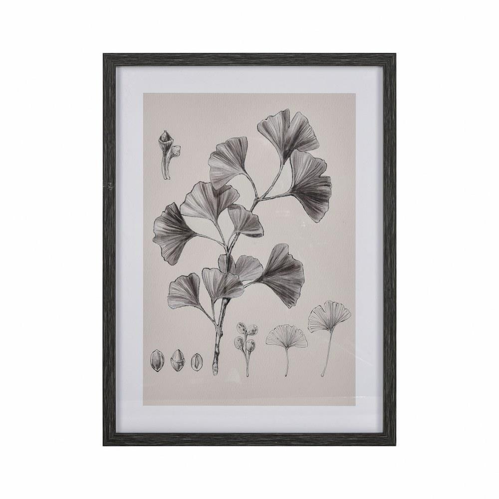 charcoal plant  drawing