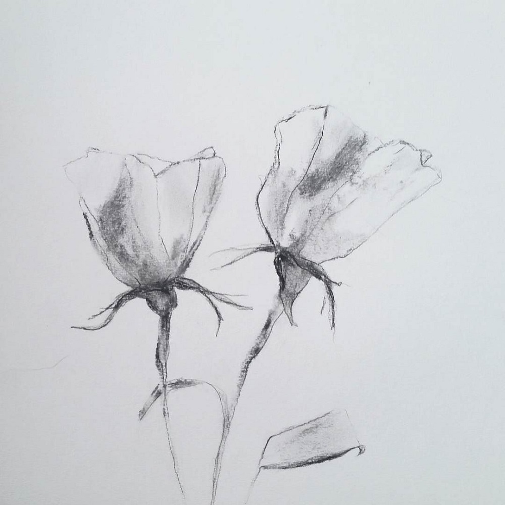 charcoal flower drawing easy