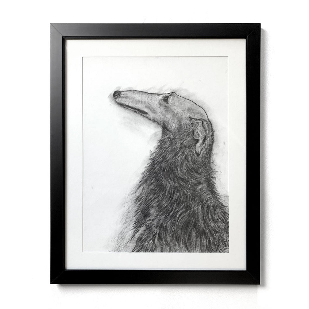 charcoal dog drawing