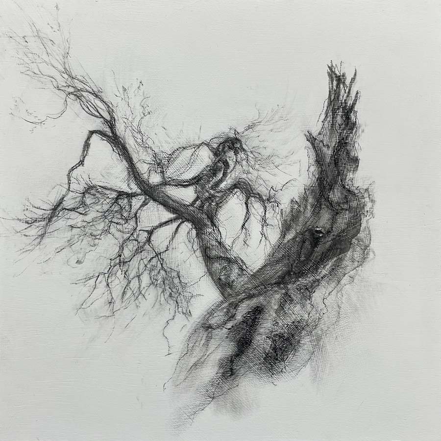 tree charcoal drawing