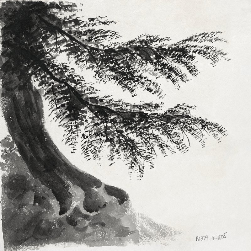 charcoal pine tree  drawing