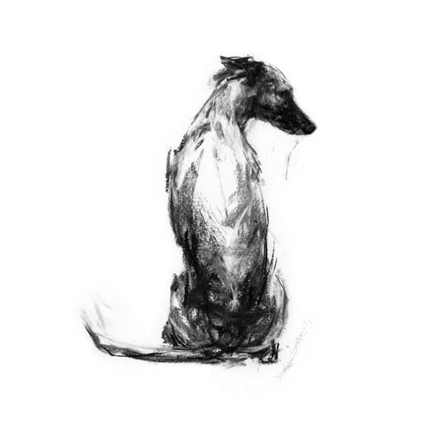 charcoal drawing dog