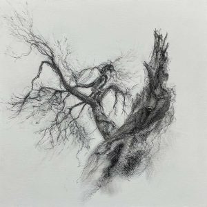 charcoal drawing tree