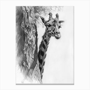 giraffe charcoal drawing