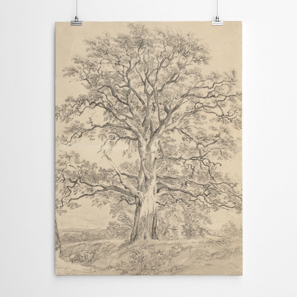 vintage-tree-charcoal-drawing