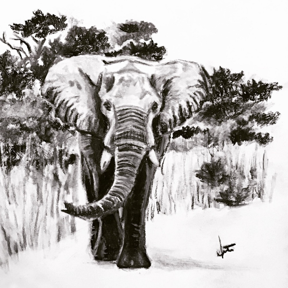 Elephantcharcoal