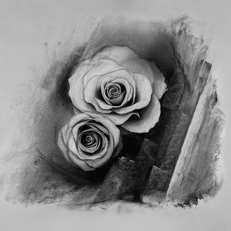 charcoal rose drawing