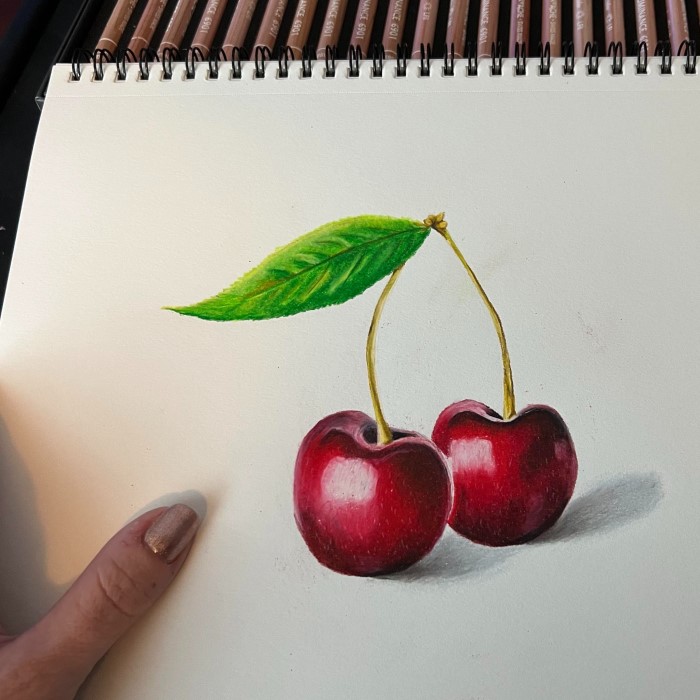 color pencil drawing