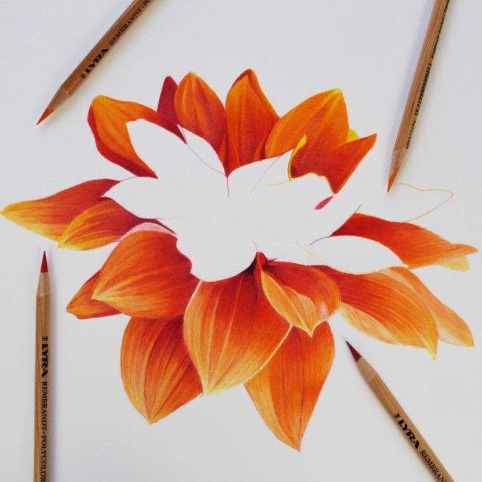 color pencil drawing