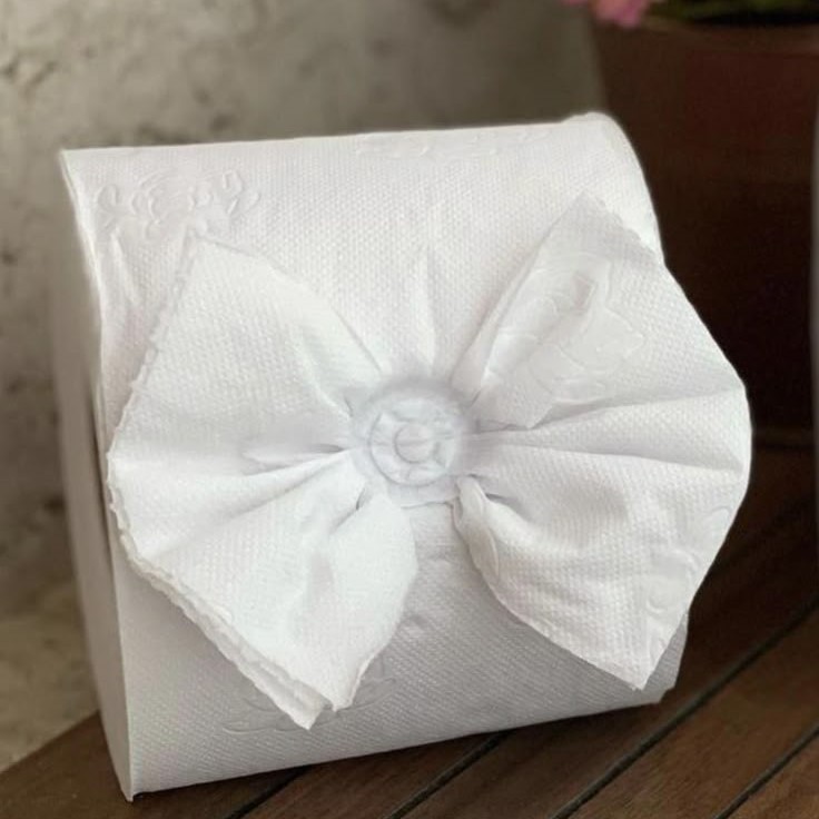 toilet paper origami