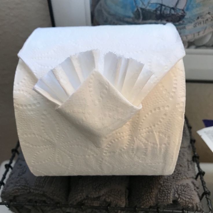 toilet paper origami