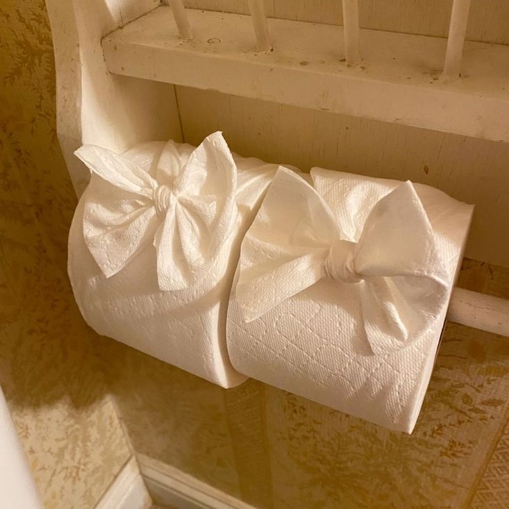 toilet paper origami