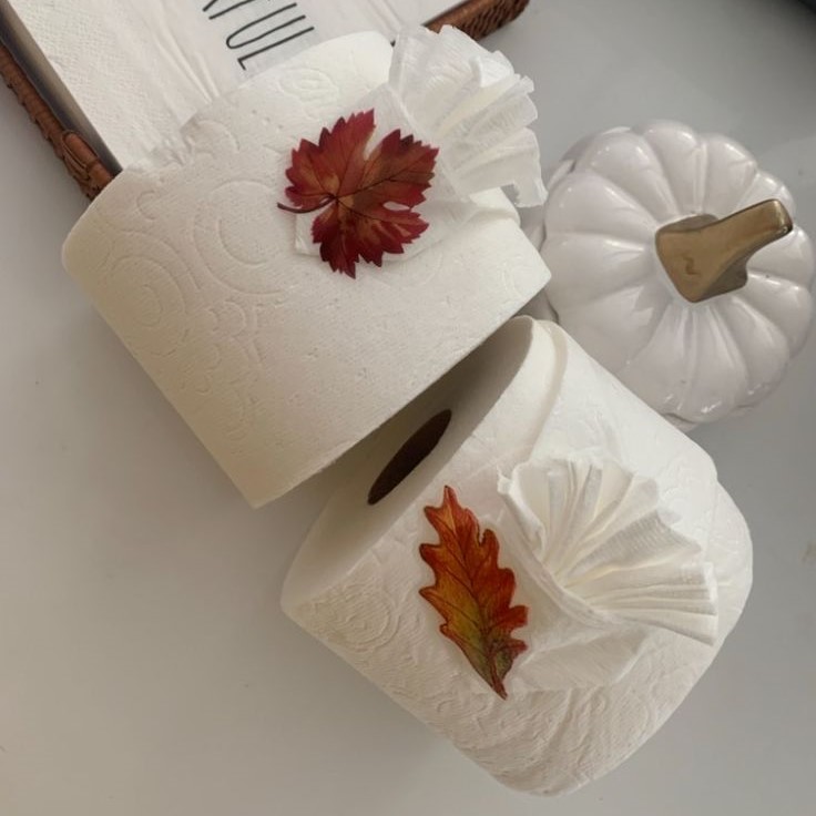 toilet paper origami