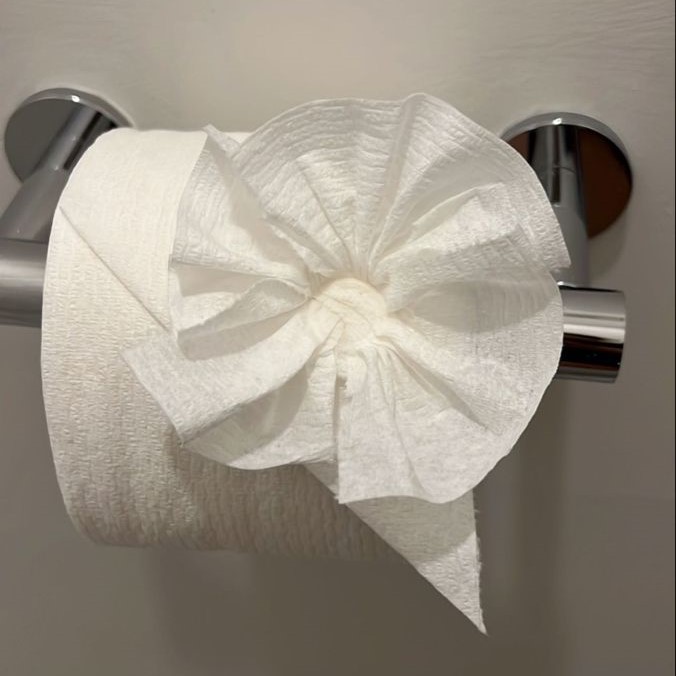 toilet paper origami