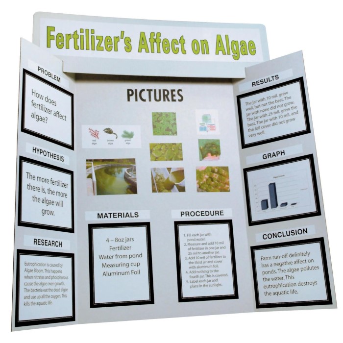 science fair display board