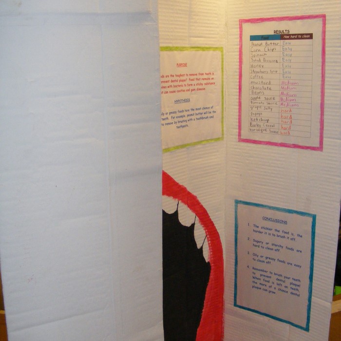 science fair display board