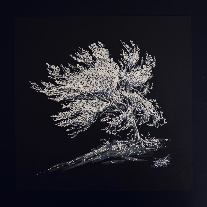 black paper drawing