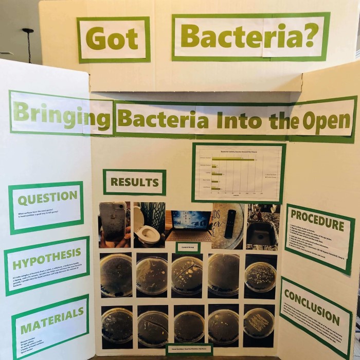 science fair display board
