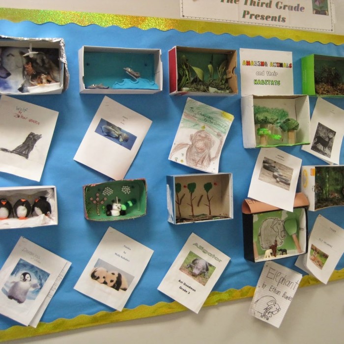 photo display board