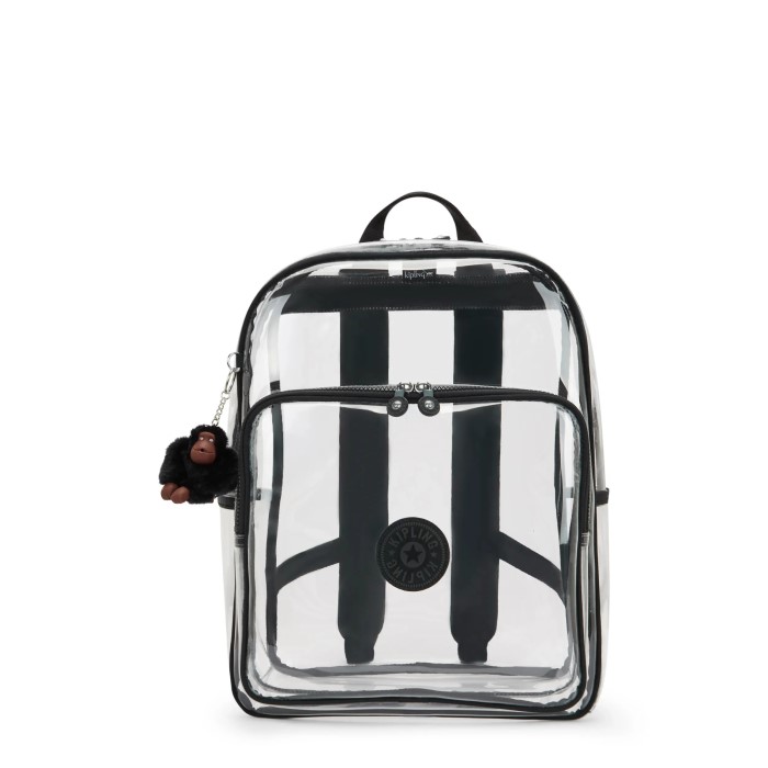clear book bag