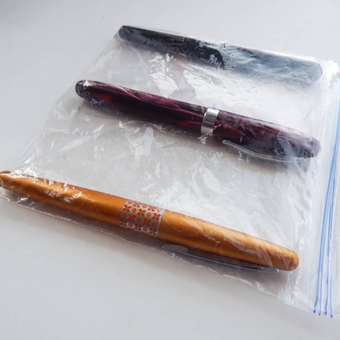 can you bring a pen on a plane