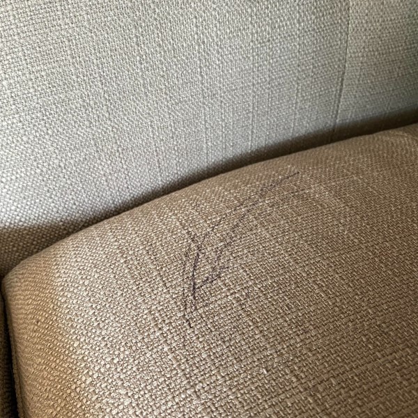 how to get pen out of couch